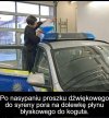 Trwają przygotowania Niemieckiej policji do akcji