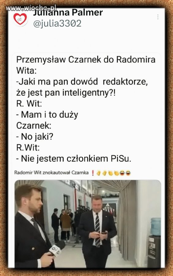 Czarnek znokautowany