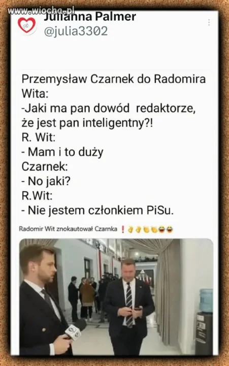 Czarnek znokautowany