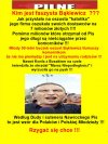 Faszysta Bąkiewicz, to PiSJugend Kaczyńskiego...