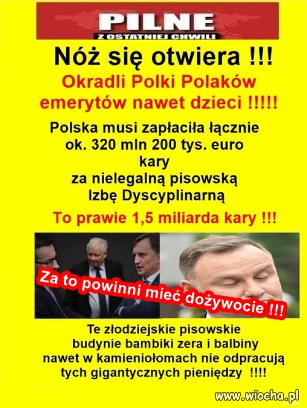 Duda Kaczyński Morawiecki Ziobro...winni!