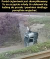 Poród naturalny