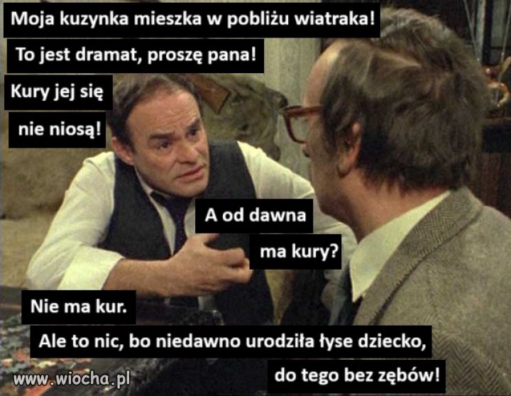 A krowy kwaśne mleko dajo