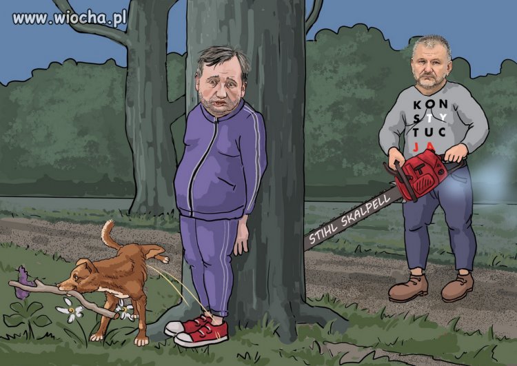 Zioberko‼️i kto tu jest miękiszonem i fujarą ?