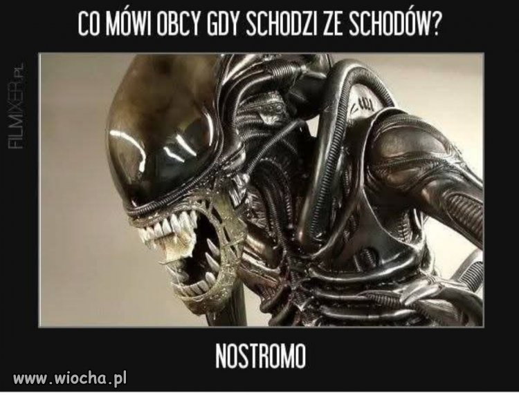 Ale tylko jeden