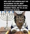 To tylko obrazek 