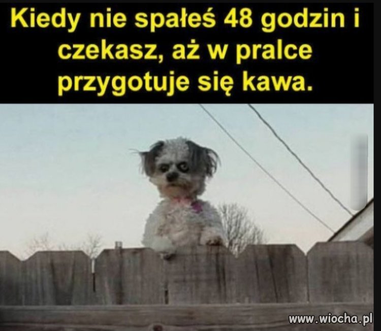 Wyglada groźnie i niebezpiecznie