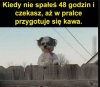 Wyglada groźnie i niebezpiecznie