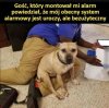 System alarmowy 