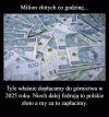 Tak to wygląda