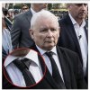 Tak naprawdę to nie ma ludzi na świecie dużo mądrzejszych niż ja