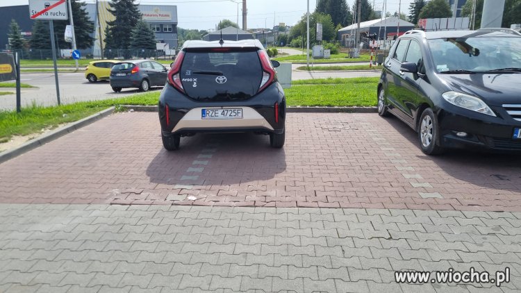 "miszcz" parkowania