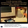 Jest to niestety możliwe 