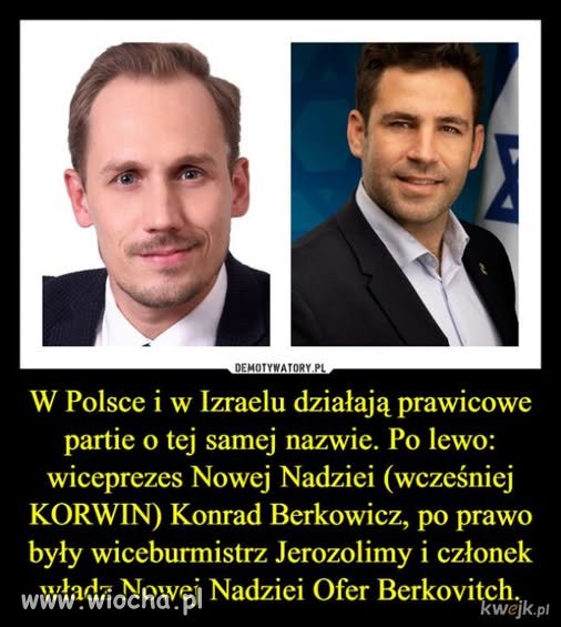 Żyd Berkovitz...Konfa.