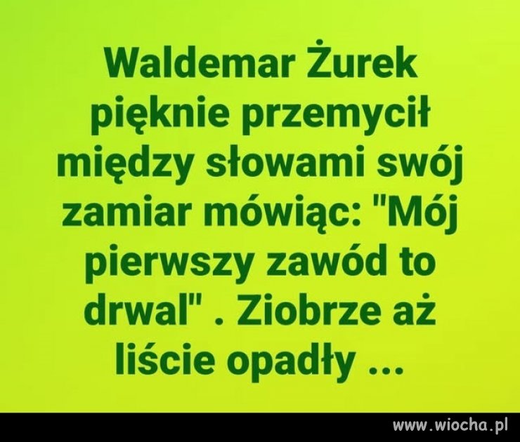 I kasztany posypały się w gaciach ...