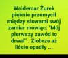I kasztany posypały się w gaciach ...