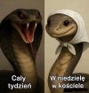 W 100% trafnie ujęte. Taka rzeczywistość
