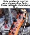Klasyk