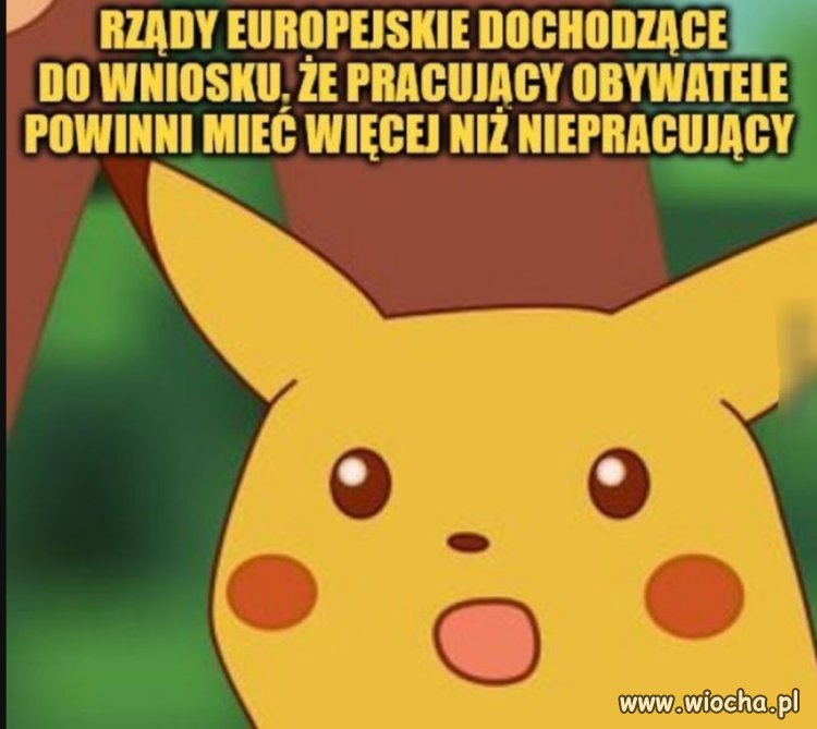 O serio? Naprawdę? Jak do tego doszli?