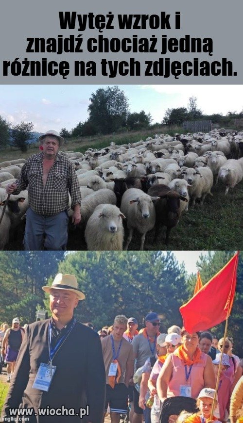 Czerwone Zagłębie pielgrzymuje