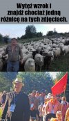 Czerwone Zagłębie pielgrzymuje