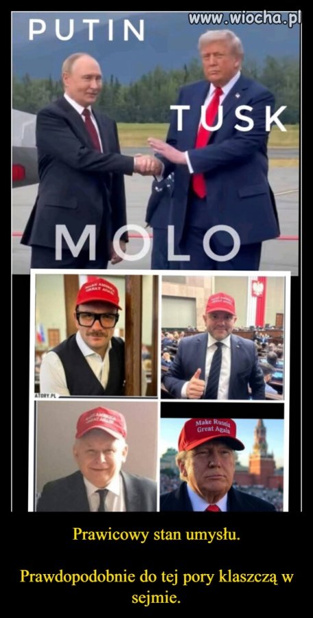 Pisiaki tak mają...