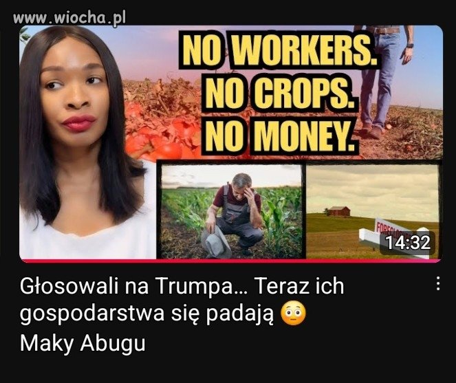 Amerykańscy farmerzy płacą za zwyciestwo ...
