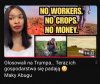 Amerykańscy farmerzy płacą za zwyciestwo ...