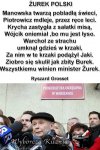 Całkiem na czasie