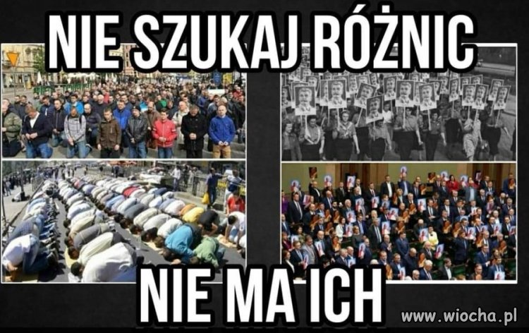 Sekty