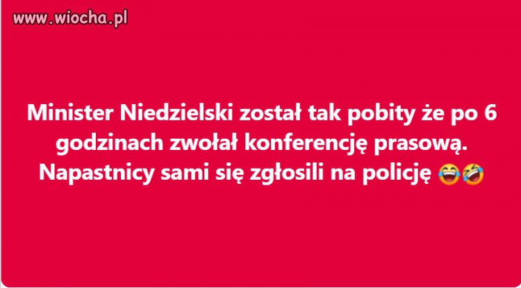 Pisowska gównoburza.