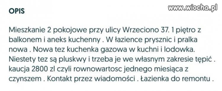 To takie polskie realia 