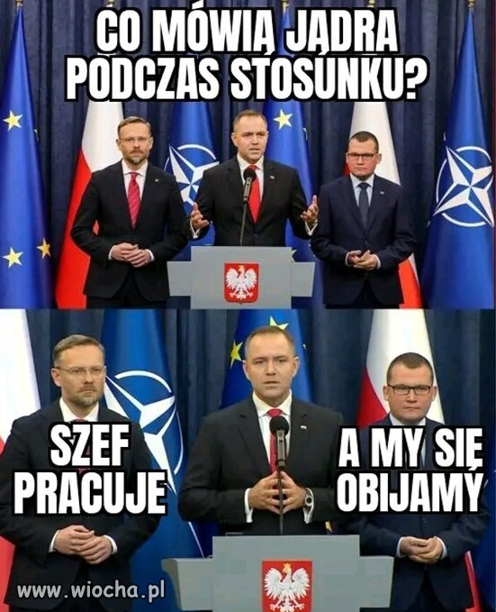    szef