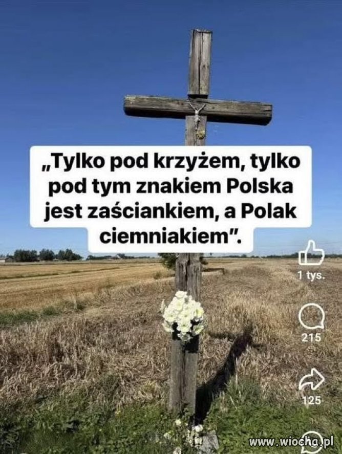 Świątecznie ...
