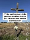 Świątecznie ...