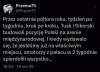 Lepiej bym tego nie ujął