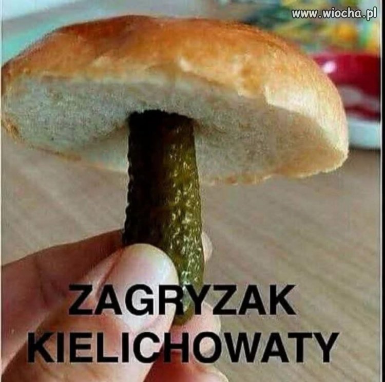 Śledzik i grzybek do wódy Nawrockiego