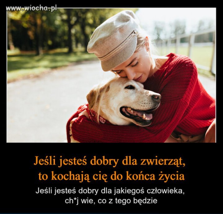 Z wiekiem coraz bardziej lubię zwierzęta...