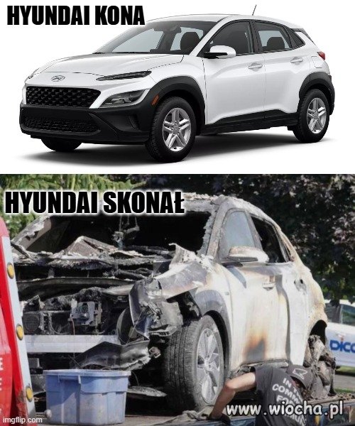 Nazwa była prorocza?
