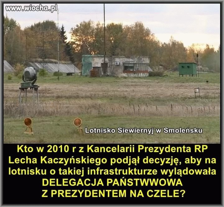 Tyle w temacie pisowskie głąby