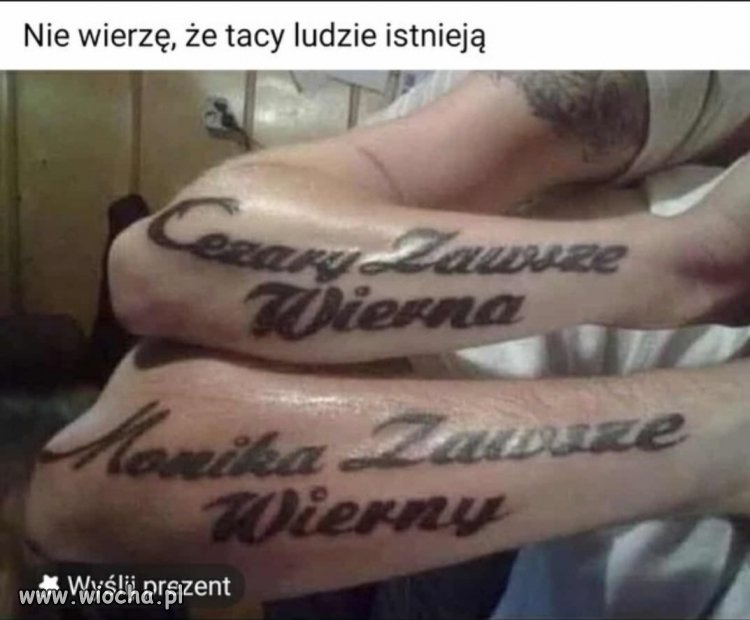 Cóż ich życie, ale wygląda na to, że...