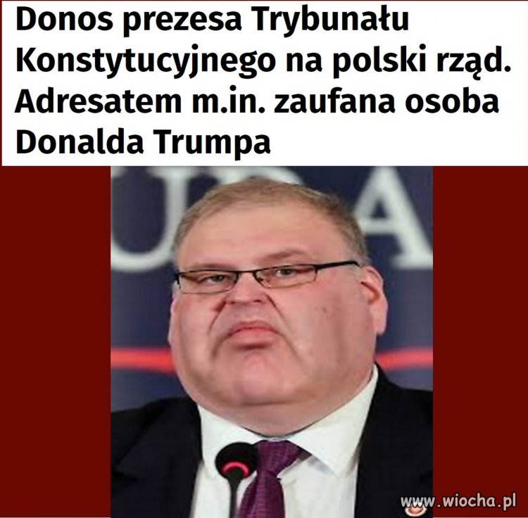 Imć pan prezes