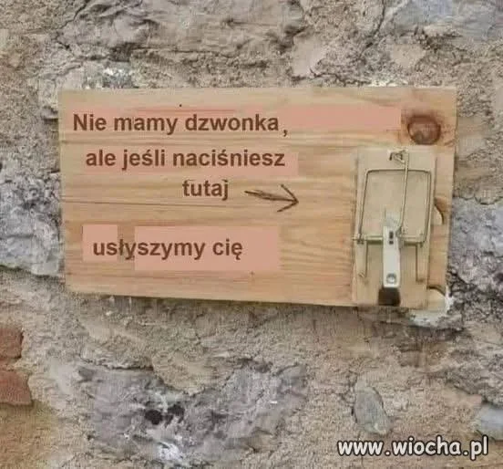 Zdecydowanie 