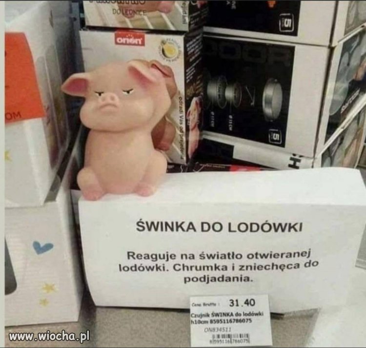 Świnka do lodówki