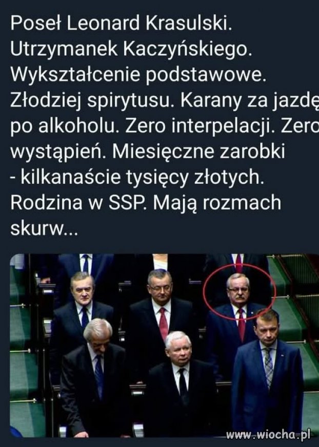 Krasulski to mój ulubiony poseł z PiS. Zawsze wierny, 
