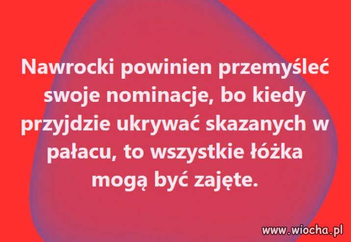 Harem już jest, żona i dwie pucie ... 