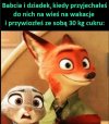 To będą niezapomniane wakacje 