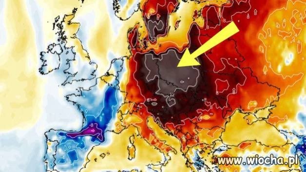 Polska w wrześniu: kto zamówił wersję tropiki? 