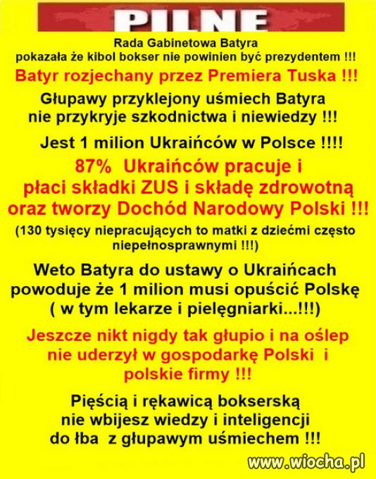 Batyr rozjechany przez Premiera Tuska !!!