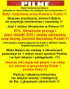 Batyr rozjechany przez Premiera Tuska !!!